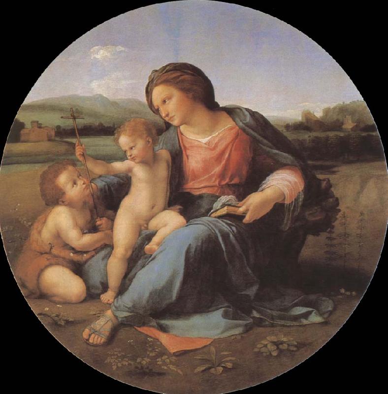 RAFFAELLO Sanzio The virgin mary oil painting image